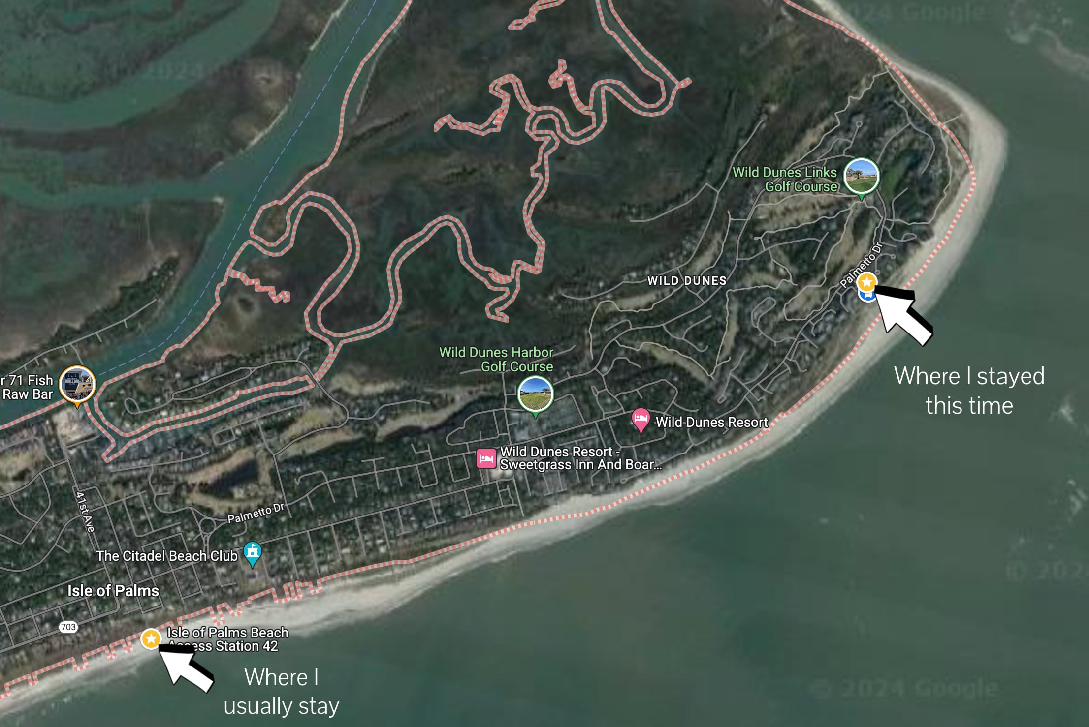Isle of Palms and Wild Dunes Shelling Guide | South Carolina | miss mustard seed